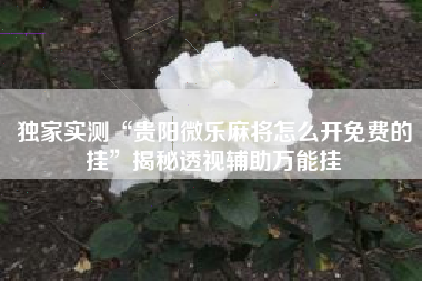 独家实测“贵阳微乐麻将怎么开免费的挂”揭秘透视辅助万能挂