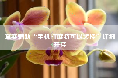 真实辅助“手机打麻将可以装挂	”详细开挂