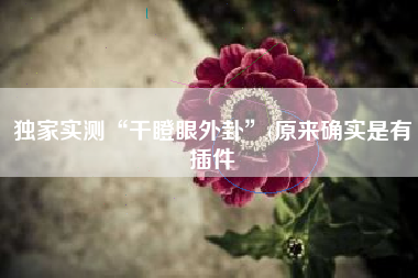 独家实测“干瞪眼外卦”(原来确实是有插件