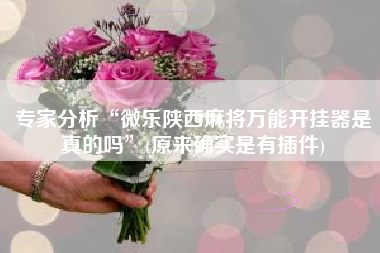 专家分析“微乐陕西麻将万能开挂器是真的吗”(原来确实是有插件)