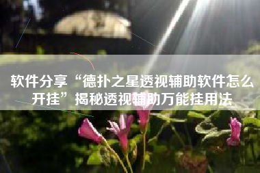 软件分享“德扑之星透视辅助软件怎么开挂	”揭秘透视辅助万能挂用法