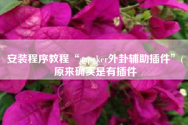 安装程序教程“aapoker外卦辅助插件”(原来确实是有插件