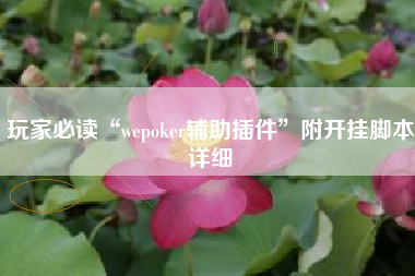玩家必读“wepoker辅助插件”附开挂脚本详细