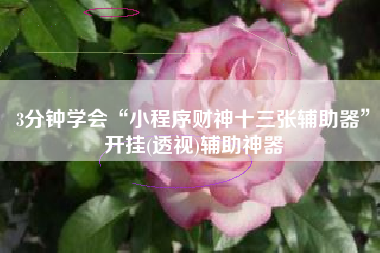 3分钟学会“小程序财神十三张辅助器”开挂(透视)辅助神器