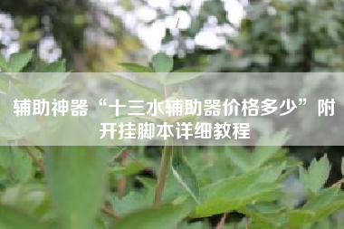 辅助神器“十三水辅助器价格多少”附开挂脚本详细教程