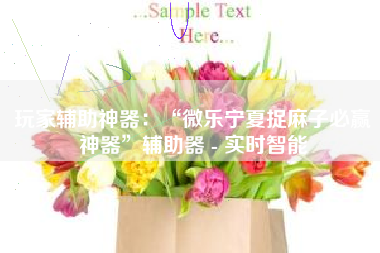 玩家辅助神器：“微乐宁夏捉麻子必赢神器”辅助器 - 实时智能