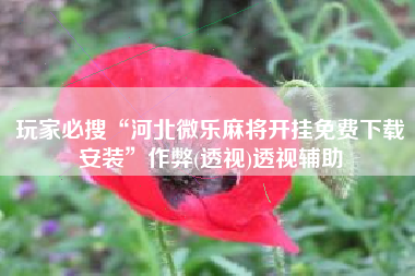 玩家必搜“河北微乐麻将开挂免费下载安装”作弊(透视)透视辅助