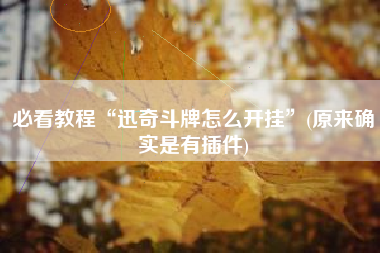 必看教程“迅奇斗牌怎么开挂”(原来确实是有插件)