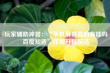 玩家辅助神器：“手机麻将真的有挂吗百度知道”详细开挂玩法