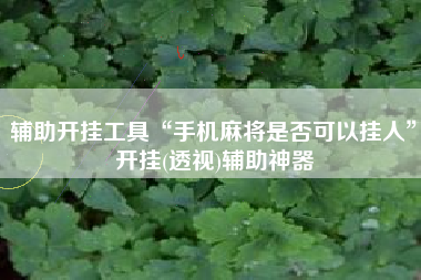 辅助开挂工具“手机麻将是否可以挂人”开挂(透视)辅助神器