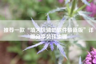 推荐一款“填大坑辅助软件最新版”详细分享装挂步骤