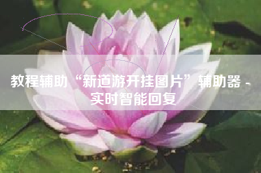 教程辅助“新道游开挂图片”辅助器 - 实时智能回复
