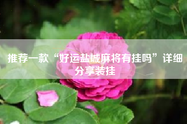 推荐一款“好运盐城麻将有挂吗”详细分享装挂