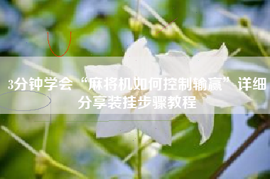 3分钟学会“麻将机如何控制输赢”详细分享装挂步骤教程