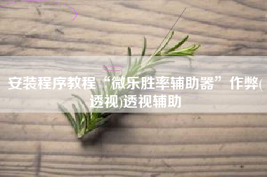 安装程序教程“微乐胜率辅助器	”作弊(透视)透视辅助