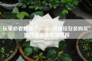 玩家必看教程“wepoker透视挂安装购买”附开挂脚本详细教程