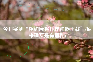 今日实测“相约麻将开挂神器下载”(原来确实是有插件)