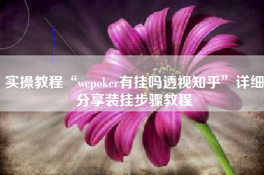 实操教程“wepoker有挂吗透视知乎”详细分享装挂步骤教程
