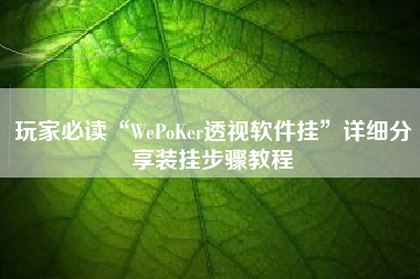 玩家必读“WePoKer透视软件挂	”详细分享装挂步骤教程