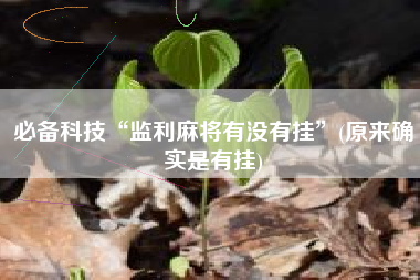 必备科技“监利麻将有没有挂”(原来确实是有挂)