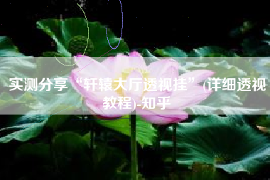 实测分享“轩辕大厅透视挂”(详细透视教程)-知乎