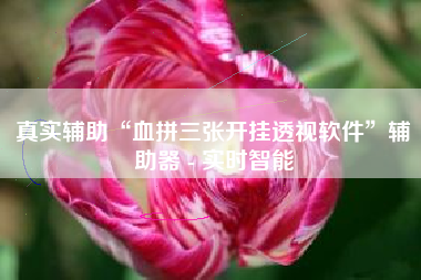 真实辅助“血拼三张开挂透视软件”辅助器 - 实时智能