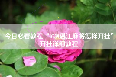 今日必看教程“0759湛江麻将怎样开挂”开挂详细教程