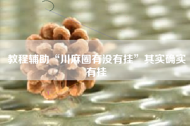 教程辅助“川麻圈有没有挂	”其实确实有挂