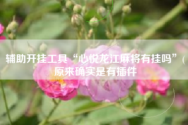 辅助开挂工具“心悦龙江麻将有挂吗	”(原来确实是有插件