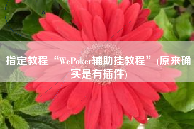 指定教程“WePoker辅助挂教程”(原来确实是有插件)