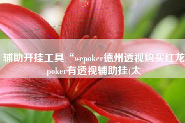 辅助开挂工具“wepoker德州透视购买红龙poker有透视辅助挂(太