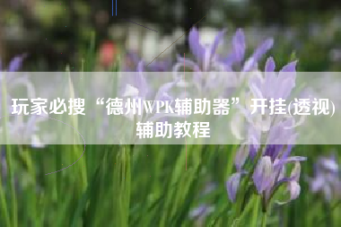 玩家必搜“德州WPK辅助器	”开挂(透视)辅助教程