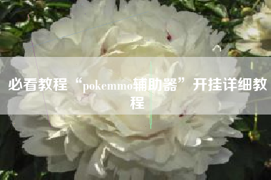 必看教程“pokemmo辅助器”开挂详细教程