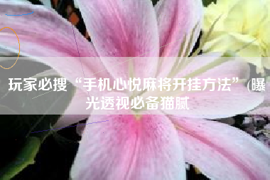 玩家必搜“手机心悦麻将开挂方法”(曝光透视必备猫腻