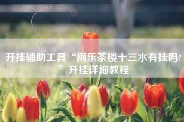 开挂辅助工具“闽乐茶楼十三水有挂吗?”开挂详细教程