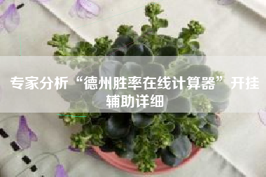 专家分析“德州胜率在线计算器”开挂辅助详细