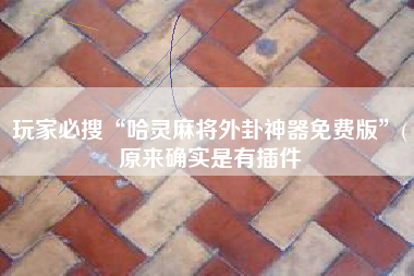 玩家必搜“哈灵麻将外卦神器免费版	”(原来确实是有插件