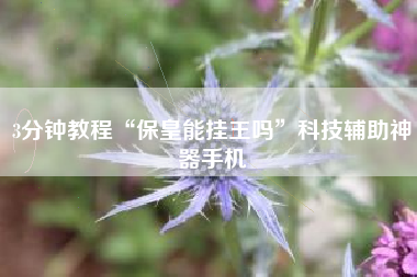 3分钟教程“保皇能挂王吗	”科技辅助神器手机