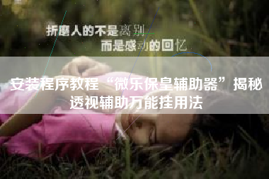 安装程序教程“微乐保皇辅助器”揭秘透视辅助万能挂用法