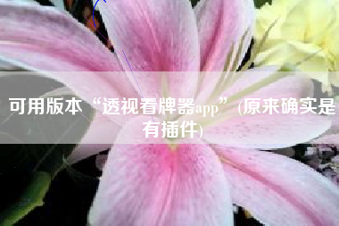 可用版本“透视看牌器app”(原来确实是有插件)