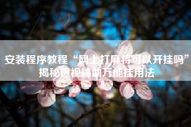 安装程序教程“网上打麻将可以开挂吗”揭秘透视辅助万能挂用法