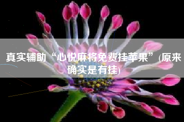 真实辅助“心悦麻将免费挂苹果”(原来确实是有挂)