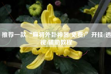 推荐一款“麻将外卦神器(免费)”开挂(透视)辅助教程