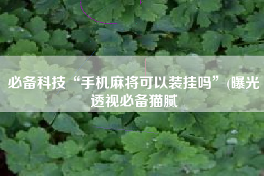 必备科技“手机麻将可以装挂吗	”(曝光透视必备猫腻