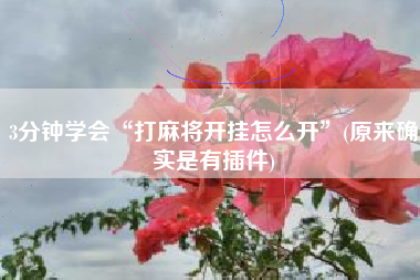 3分钟学会“打麻将开挂怎么开”(原来确实是有插件)