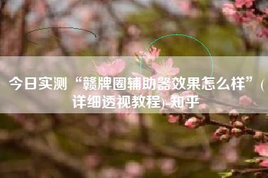 今日实测“赣牌圈辅助器效果怎么样	”(详细透视教程)-知乎