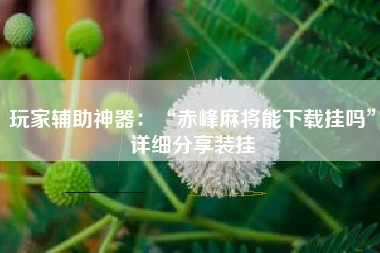 玩家辅助神器：“赤峰麻将能下载挂吗”详细分享装挂