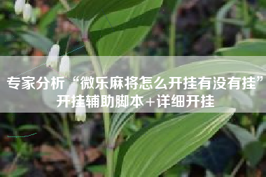 专家分析“微乐麻将怎么开挂有没有挂”开挂辅助脚本+详细开挂