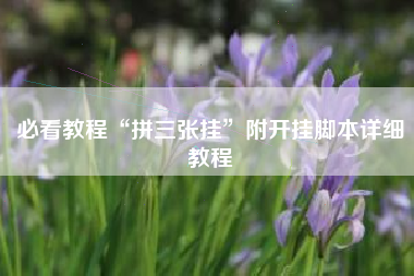 必看教程“拼三张挂”附开挂脚本详细教程