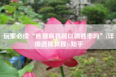 玩家必读“熊猫麻将可以调胜率吗”(详细透视教程)-知乎